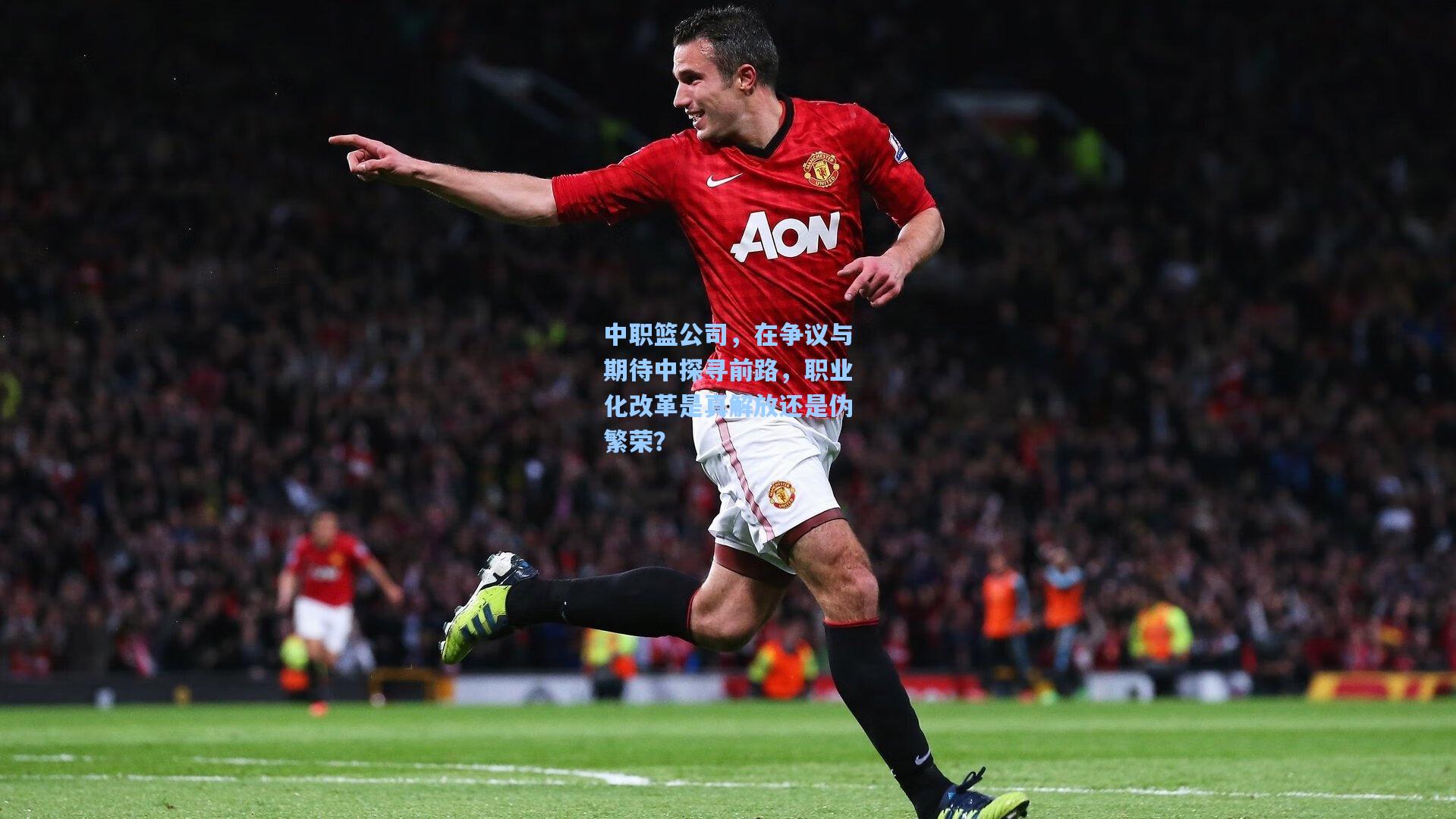 中职篮公司,在争议与期待中探寻前路,职业化改革是真解放还是伪繁荣?